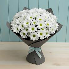 Букет цветов из:  Хризантемы в Медногорский