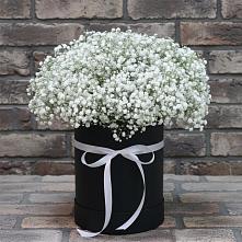 Цветочная композиция из Гипсофила в шляпной коробке в Медногорский