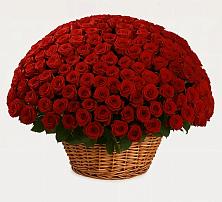 Премиум букет из: Розы в Медногорский